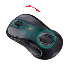 A pair of computer mouses

Description automatically generated with low confidence